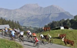 LA HAUTE ROUTE, UNE COURSE DE LEGENDE EST NEE !