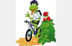 VTT DIMANCHE 07 DECEMBRE 2014