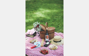 Journée club - Souvenir Michel PONTILLON