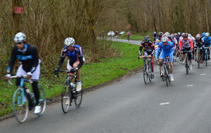 51753658a1c8b_DSC0723B.jpg