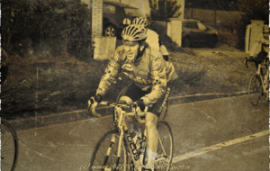 561aa2a9ec926_1444329996426.png