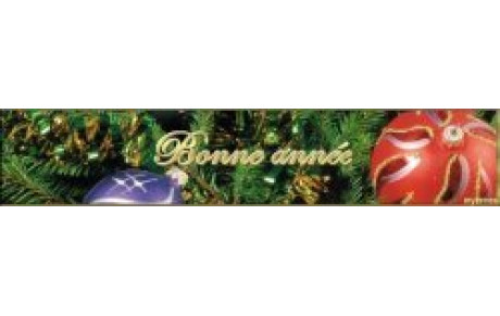 Bonne Année 2011
